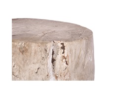 Fossil Tables