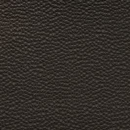 Element Coal