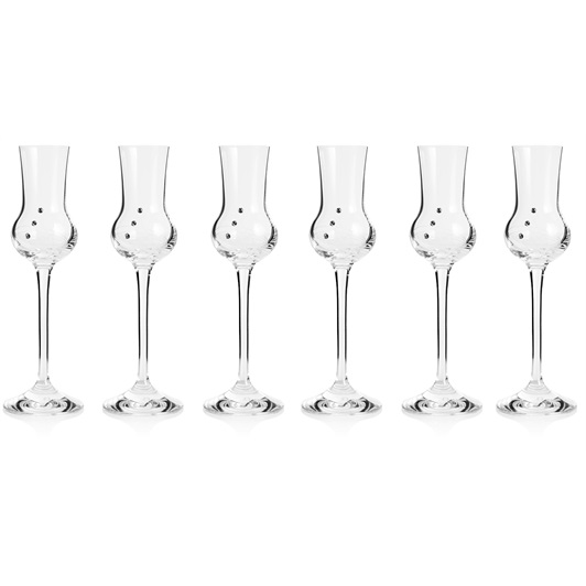 Set of 6 Shot Glass